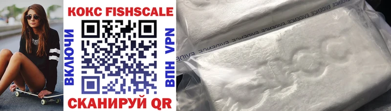 Купить закладки  Колпашево  COCAIN Fish Scale 