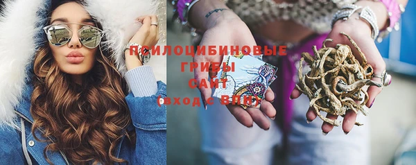 кокс Алексин