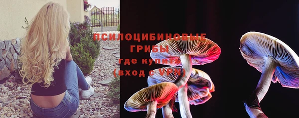соль курить ск Алексеевка