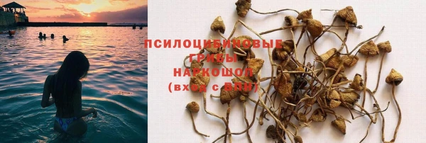 кокс Алексин